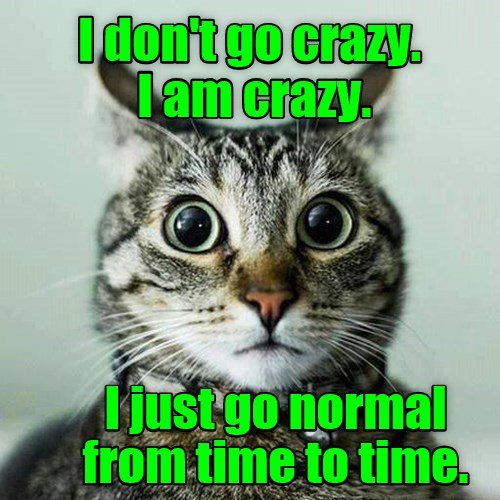 161229-crazy-normal